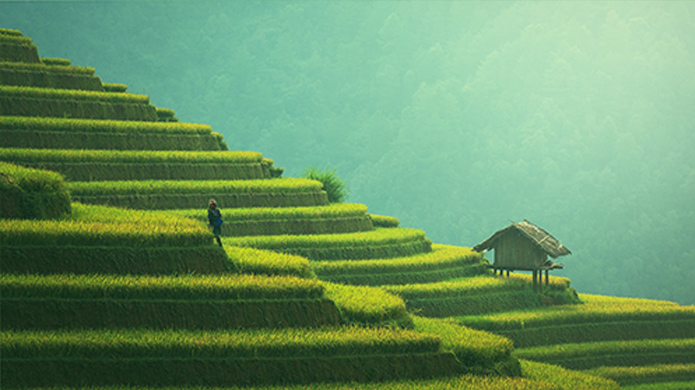 Z6·尊龙凯时「中国集团」官方网站