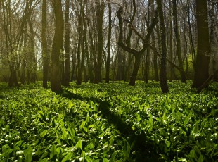 访农户，，送手艺！ “中国农资”现代农业服务团队助力秋粮生产
