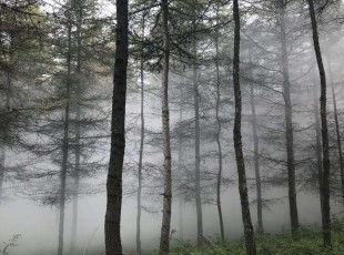 20200608113618_173965