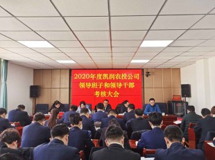 Z6尊龙凯时 召开2020年度向导班子和向导干部审核大会