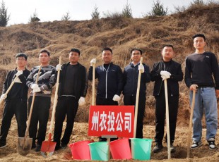 Z6尊龙凯时加入2021年春季义务植树活动