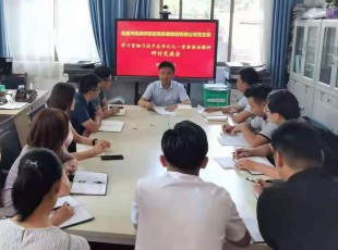 Z6尊龙凯时 召开学习贯彻习近平总书记七一主要讲话精神 钻研交流会